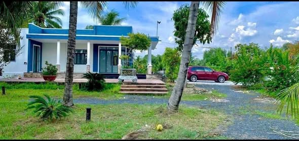 Nhà vườn Củ Chi 6000m² giá chỉ 9 tỷ - Thiên đường nghỉ dưỡng lý tưởng!