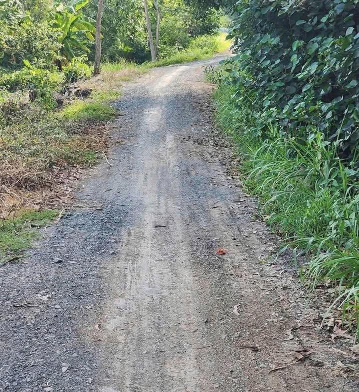 Đất vườn 1440m² mặt tiền kênh Biện Cung - 800 triệu - Sổ hồng chính chủ