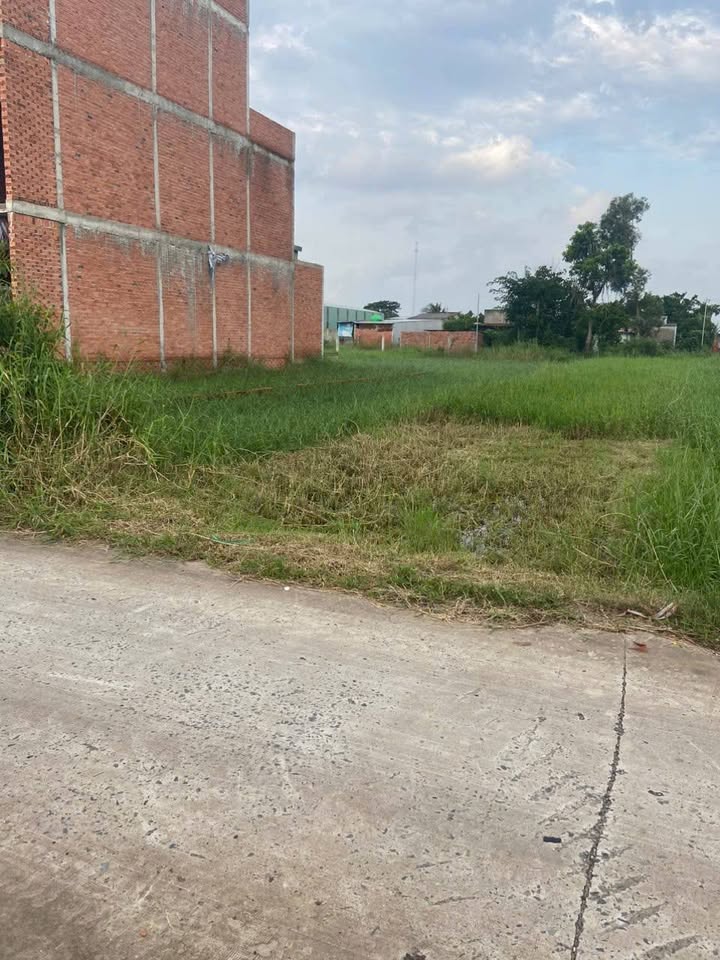 Đất nền 125m² tại Mỹ Hạnh Nam, Đức Hòa, Long An - Giá chỉ 950 triệu, sổ đỏ chính chủ!