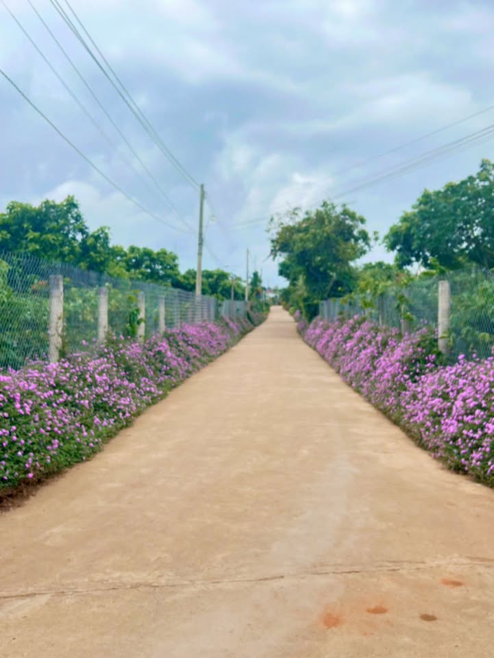 Đất thổ cư 200m² Tân Hội giá 3 tỷ - Sổ hồng riêng, thương lượng tốt!