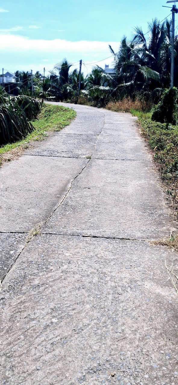 Đất nền 4 sào tại Xuân Điền, Hàm Hiệp - Sổ đỏ chính chủ, giá chỉ 1.56 tỷ!