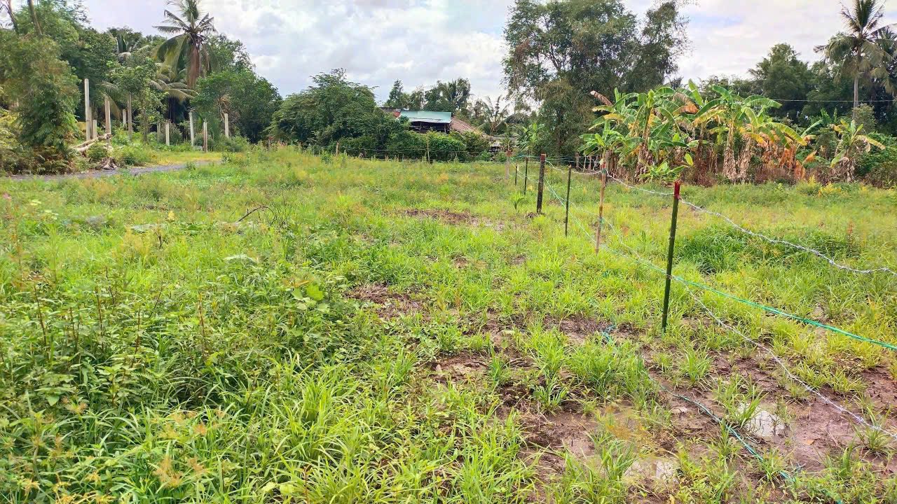 Đất vườn Nhựt Chánh, Bến Lức 510m² giá 995 triệu - Cơ hội đầu tư hiếm có!