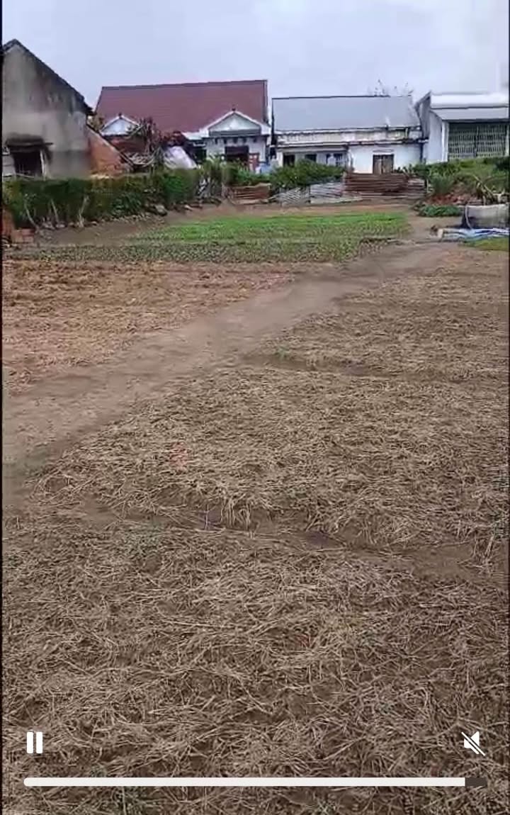 Đất nền Phước Hoà, Tuy Phước 70m² - Sổ đỏ chính chủ, giá chỉ 2XX triệu!