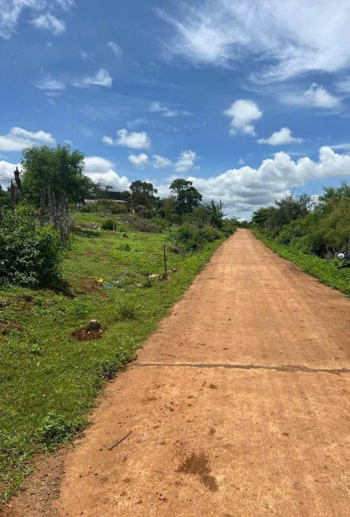 Đất thổ cư hẻm Lý Chính Thắng 150m² giá 550 triệu - Cơ hội đầu tư hấp dẫn!