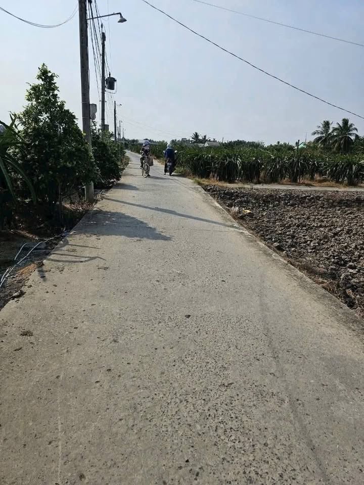 Đất nền thổ cư 130m² tại Thanh Phú Long, Châu Thành - Giá chỉ 350 triệu