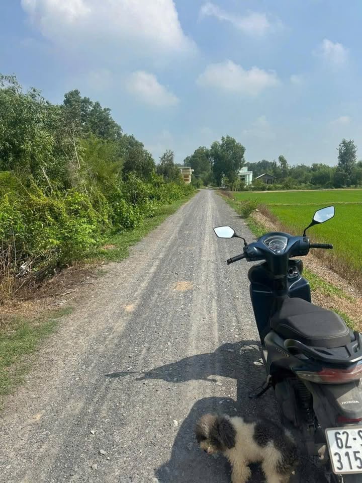 Đất thổ cư 513m² tại Ấp 2, Bình Thành, Đức Huệ - Giá 760 triệu, dân cư đông đúc!