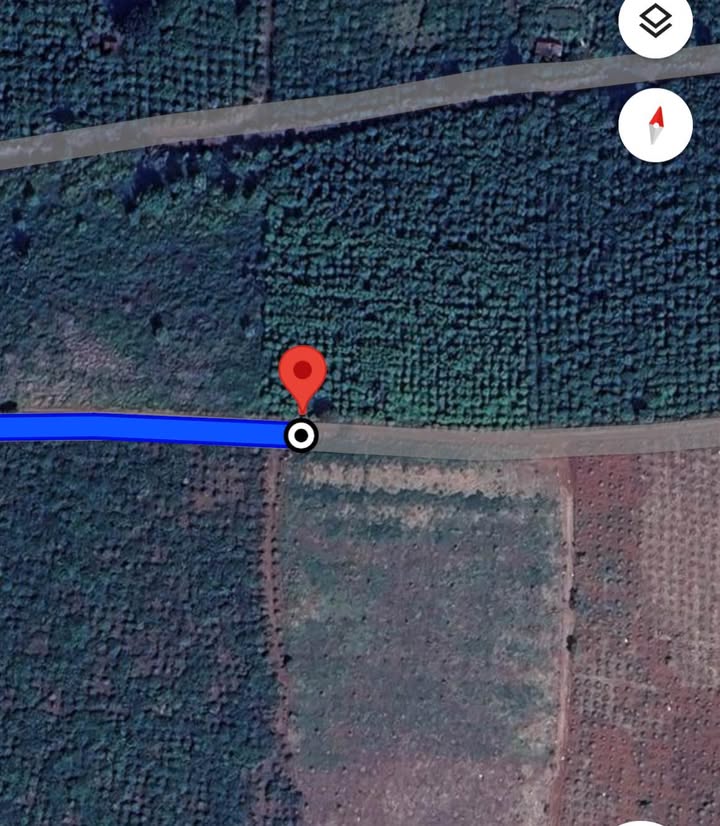 Đất vườn Tân Châu Di Linh 6000m² giá 1,8 tỷ - Cơ hội đầu tư hấp dẫn!