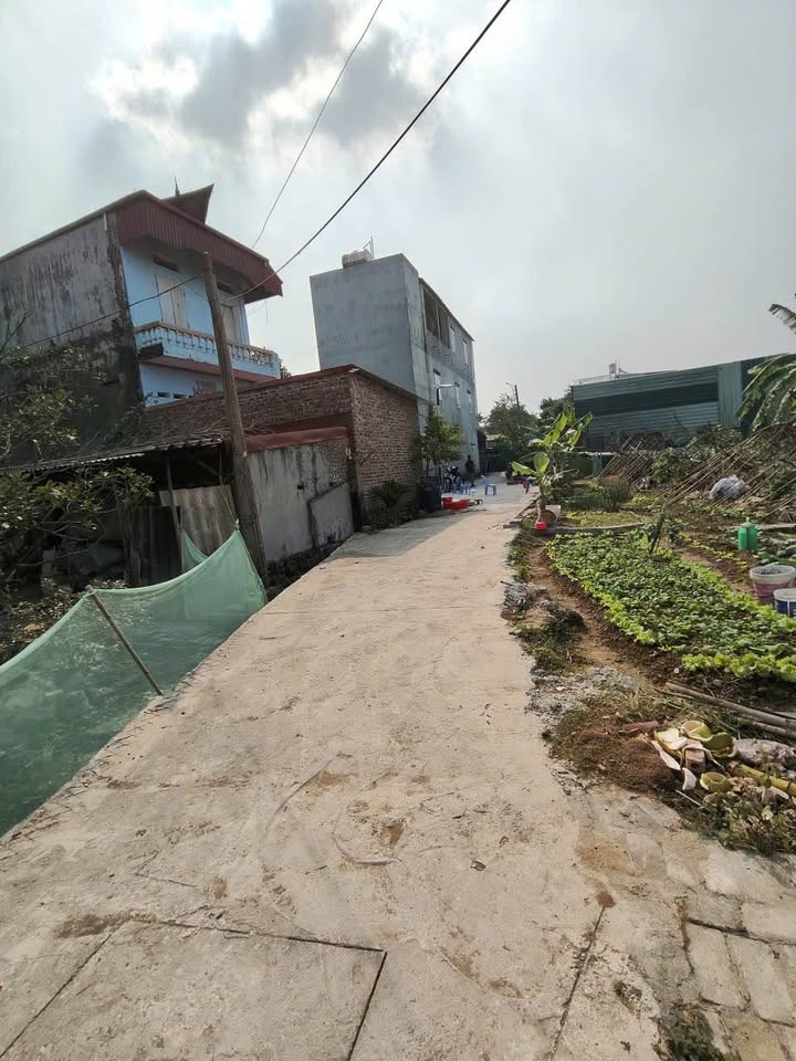 Đất nền góc Hai Vân, Vân Dương, Bắc Ninh 61m² giá 1.6 tỷ - Đầu tư tiềm năng ngay!