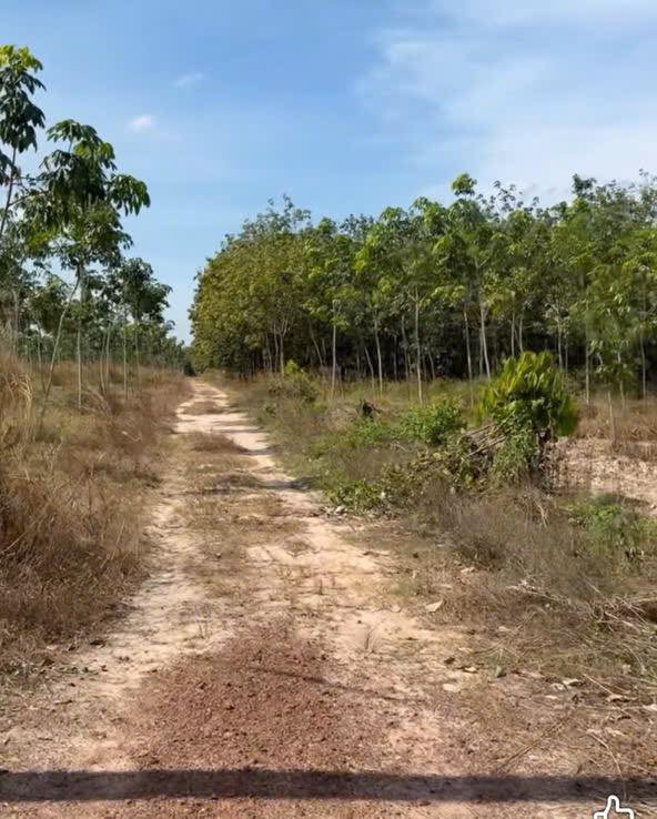 Đất nền Dầu Tiếng 14,400m² giá 2.9 tỷ - Cơ hội đầu tư tuyệt vời!