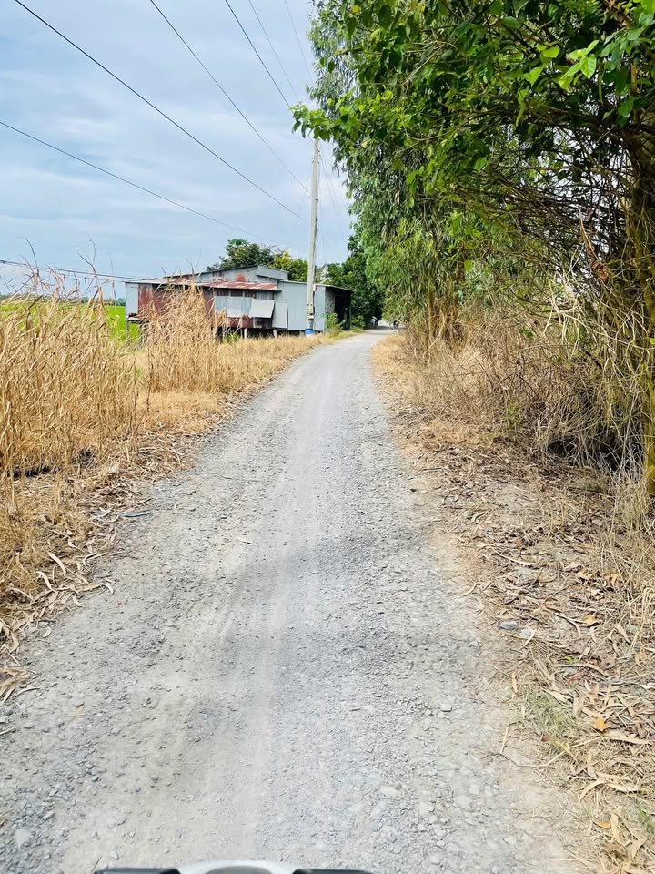 Đất mặt tiền 240m² tại Phương Thịnh, Cao Lãnh - Giá chỉ 400 triệu