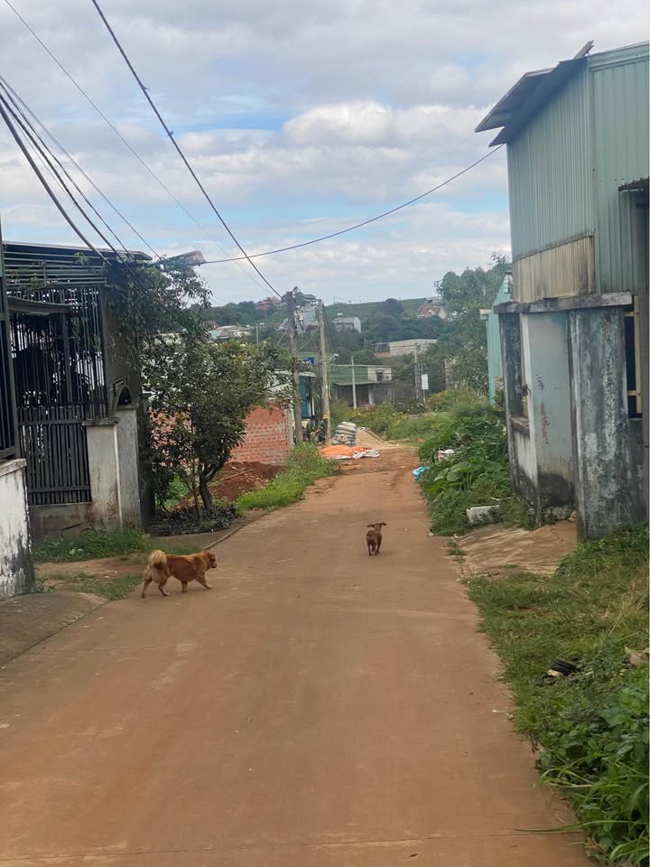 Đất nền Diên Hồng, Pleiku 100m² giá chỉ 1 tỷ - Đầu tư sinh lời ngay!