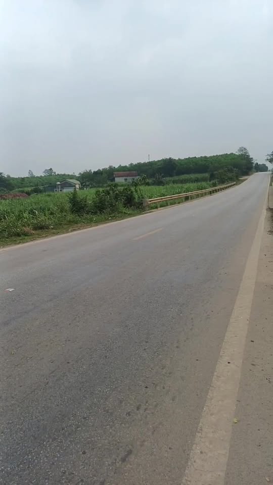 Đất nền Nghĩa Lâm, Nghệ An 592m² - Phù hợp làm kho xưởng, kinh doanh!