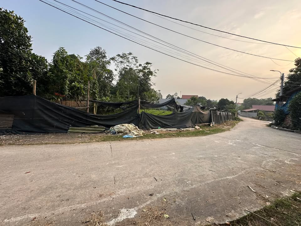 Đất thổ cư Trại Thanh Vân 150m² giá 1.155 tỷ - Lô góc 2 mặt tiền thuận lợi!