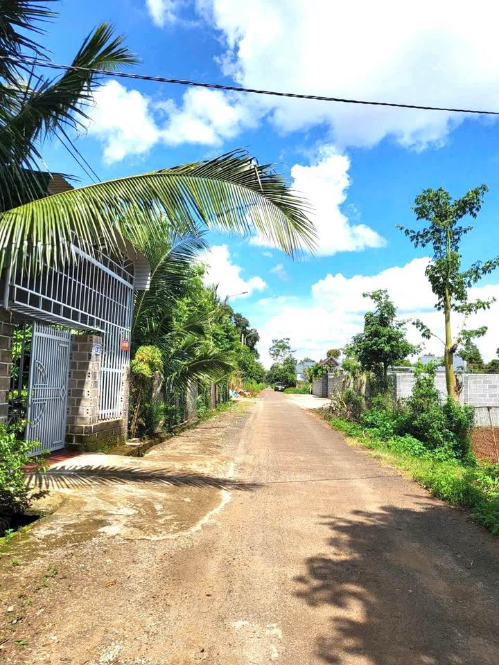 Đất nền mặt tiền đường B5, Tân An, 135m² giá chỉ 1.25 tỷ - Cơ hội đầu tư hấp dẫn!