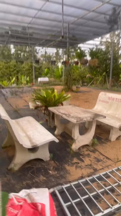 Đất mặt tiền xã Hội Xuân 5800m² giá 7 tỷ - Pháp lý rõ ràng, sẵn sàng giao dịch!