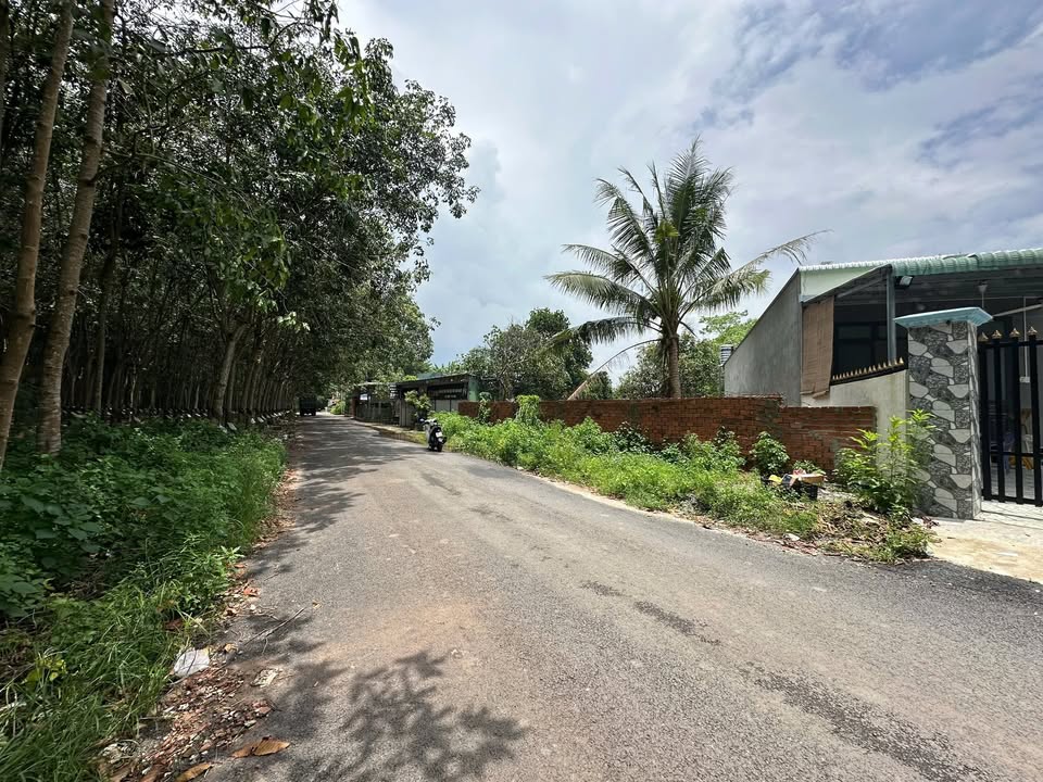 Đất nền Hưng Hòa Bàu Bàng 742.9m² - Vị trí đắc địa, pháp lý rõ ràng!