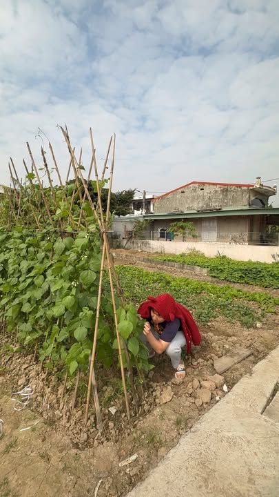 Đất nền dự án Dũng Bùi Invest tại Văn Đẩu, Kiến An - Chỉ từ 1.2 tỷ!