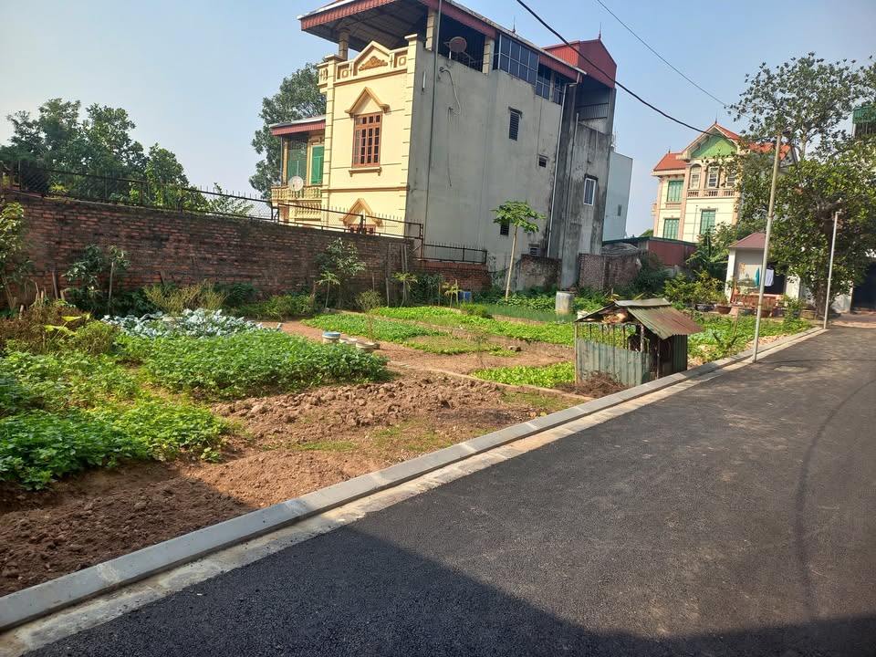 Đất nền Mai Lâm Đông Anh 100m² giá 6 tỷ - Kết nối thuận lợi vào nội đô!