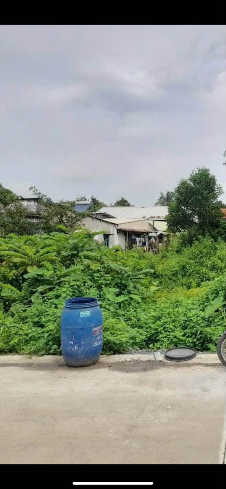 Đất thổ cư 1.271m² tại Bình Mỹ, Củ Chi - Giá chỉ 22 tỷ!