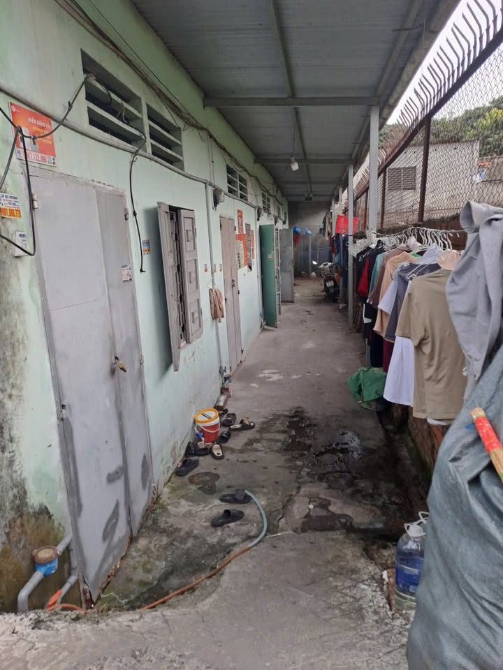 Bán gấp 5 phòng trọ sổ hồng riêng tại Tân Thới Nhì, Hóc Môn - Giá chỉ 5 tỷ