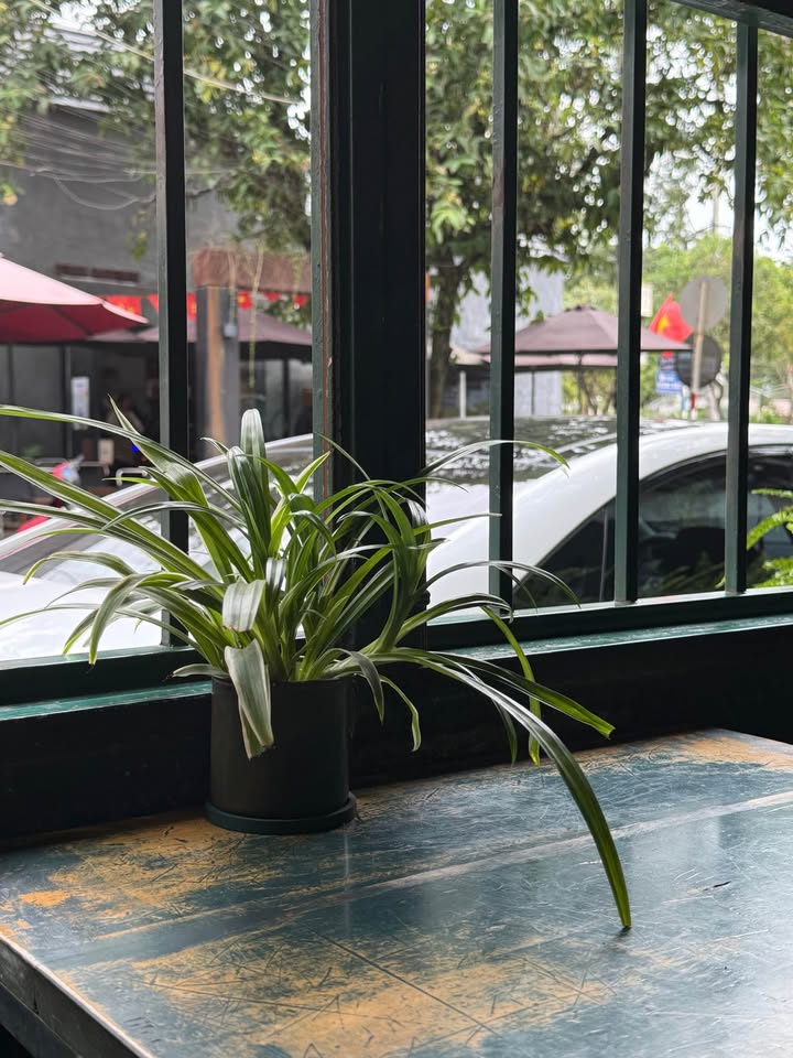 Nhà mặt tiền Y Ngông, Buôn Ma Thuột, 80m² giá 11 tỷ - Đầu tư sinh lời lý tưởng!