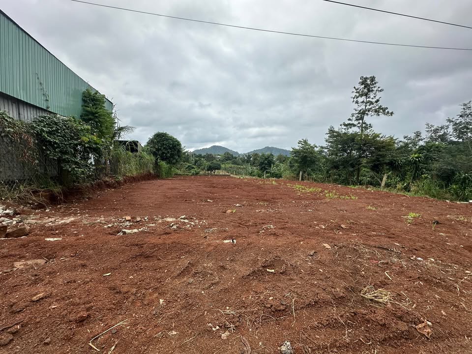 Đất thổ cư 490m² tại Thôn 8 Cư Ebur, Buôn Ma Thuột - Giá chỉ 1.299 tỷ, đầu tư sinh lời!