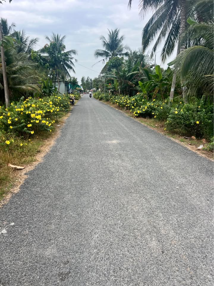 Đất thổ cư Tân Long Hội 136,1m² giá 320 triệu - Đầu tư sinh lời tiềm năng!