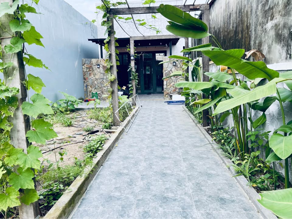 Homestay mini Đà Nẵng 80m² giá 3 tỷ - Vườn rau xanh mướt, gần biển