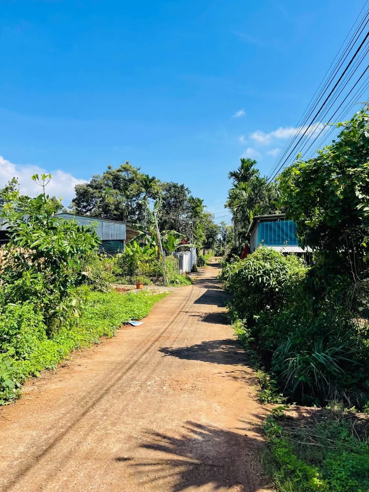 Đất thổ cư Hòa Thắng, Buôn Ma Thuột 110m² giá 960 triệu - Đầu tư tiềm năng!