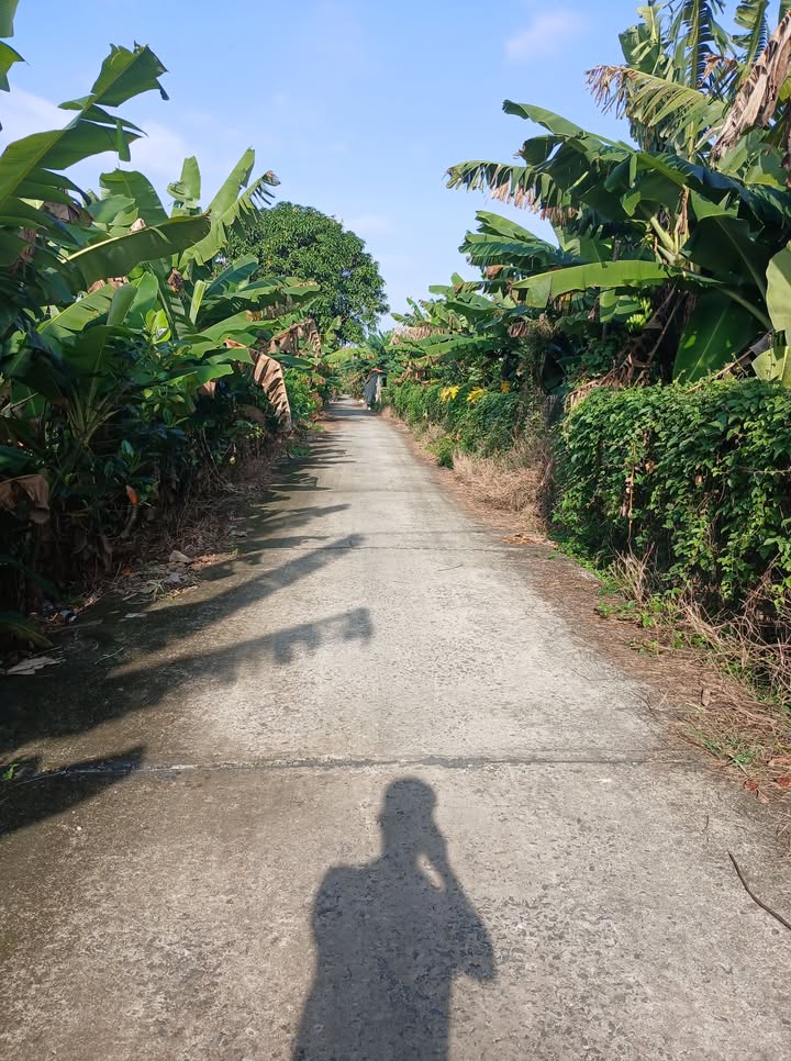 Đất nền Tân Dương 1000m² giá tốt - Mặt tiền 25m, gần chợ, trường học