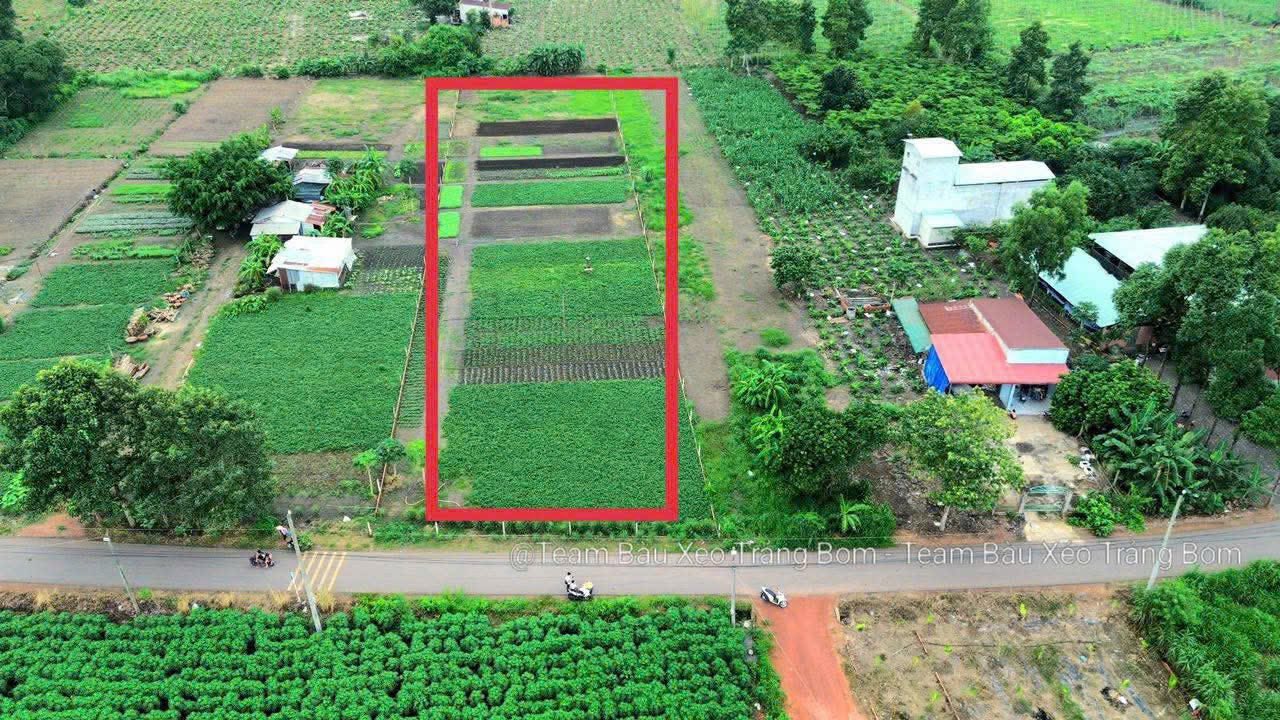 Đất nền Tây Hoà Trảng Bom 2000m² giá 2,55 tỷ - Cơ hội đầu tư hấp dẫn!