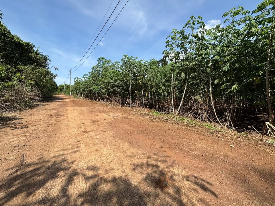 Đất nông nghiệp Dầu Giây 3600m² giá 1.9 tỷ - Sổ hồng chính chủ, view suối tuyệt đẹp!