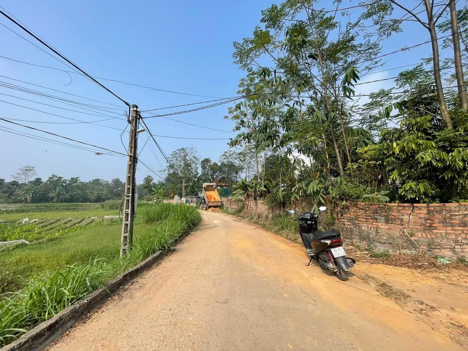 Đất thổ cư 150m² Thôn Xuân Bái, Lập Thạch giá 800 triệu - Cơ hội đầu tư sinh lời!