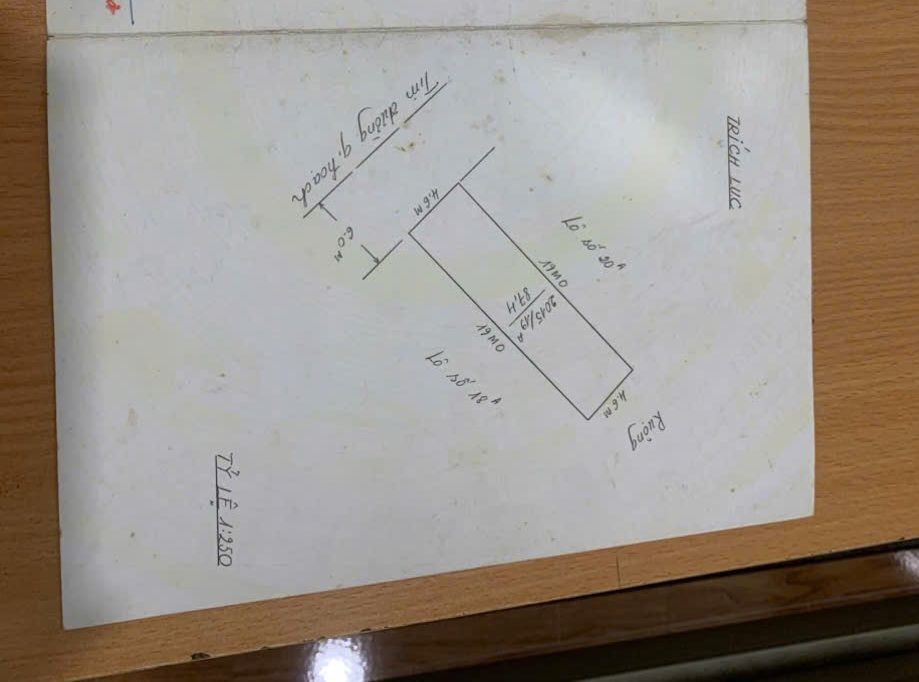 Đất nền Vĩnh Niệm Hải Phòng 87m² giá 10.44 tỷ - Đường rộng 10m, vị trí đắc địa!