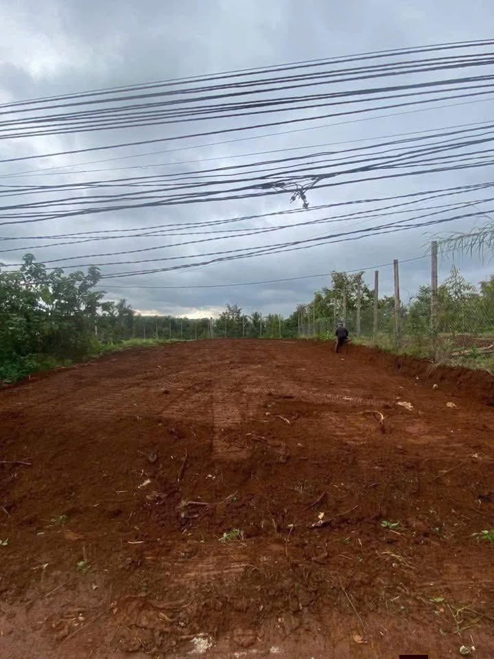 Đất nền chính chủ đường Bùi Xuân Phái, phường Thiện An, 150m² - Giá chỉ 950 triệu!