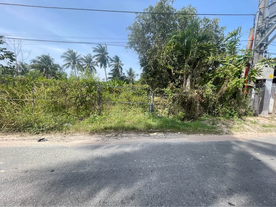 Đất hẻm 24 Trinh Phong Đáng, Long Hoa, 172m² chỉ 1.2 tỷ - Cơ hội đầu tư lý tưởng!