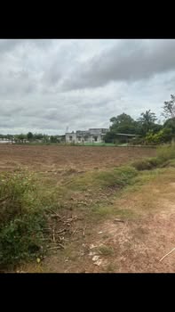 Đất mặt tiền đường sỏi Phước Vinh, Tây Ninh 13.000m² giá chỉ 3.024 tỷ - Cơ hội đầu tư tuyệt vời!