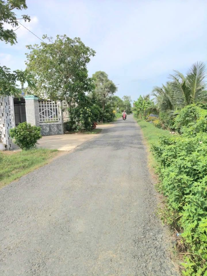 Đất mặt tiền đường Trần Văn Dõng, Long Thuận, Gò Công, 463m² - Giá chỉ 1.45 tỷ, thương lượng ngay!