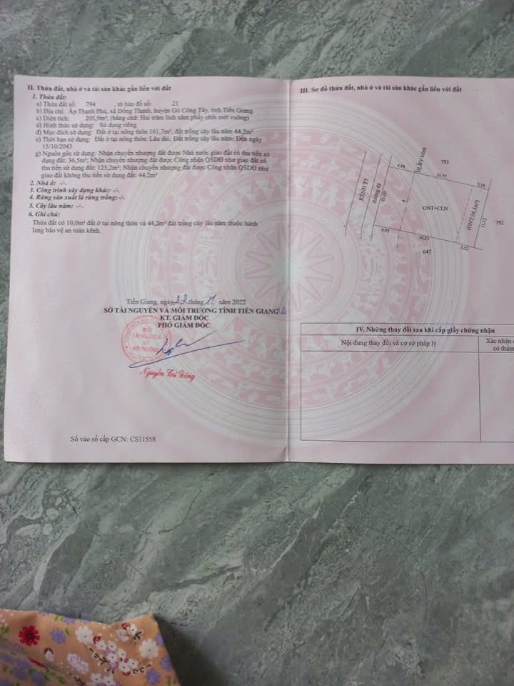 Đất nền ấp Thạnh Phú, xã Đồng Thạnh 205,9m² giá 340 triệu - Cơ hội đầu tư tuyệt vời!