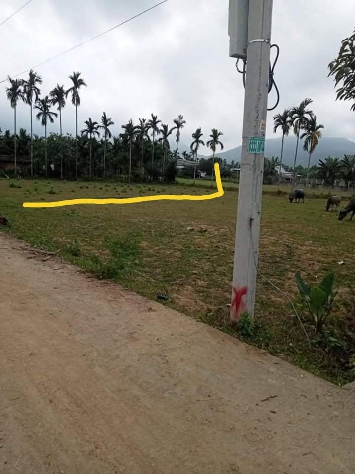 Đất nền Phước Thuận Mộ Đức 370m² giá thỏa thuận - Ô tô vào tận nơi!