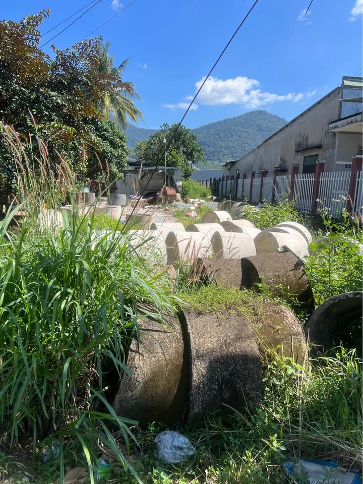 Đất thổ cư 700m² Đạ Huoai giá thỏa thuận - Mặt tiền đường ĐT 713, kinh doanh thuận lợi!