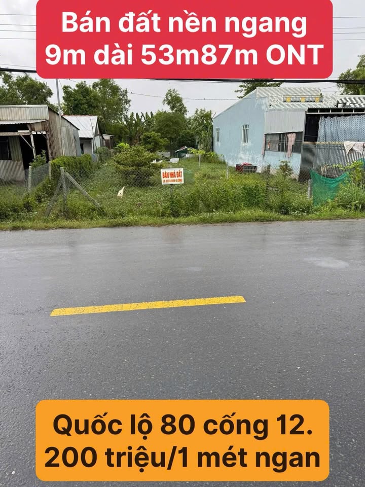 Đất nền mặt tiền Quốc lộ 80, xã Thạnh Tiến, 450m² - Cơ hội đầu tư sinh lời!