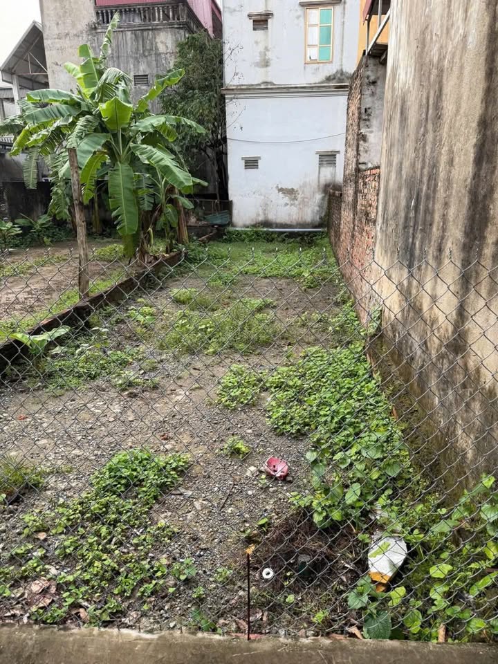 Đất 63m² Đông Mỹ - Thanh Trì chỉ 4 tỷ - Cơ hội đầu tư tuyệt vời!