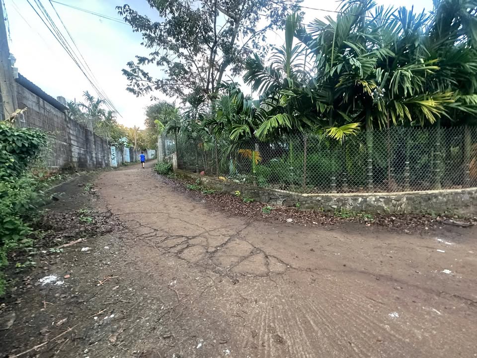 Bán đất phường Tân Lập, Buôn Ma Thuột 125m² giá 1.25 tỷ - Vị trí đắc địa gần sân bay!