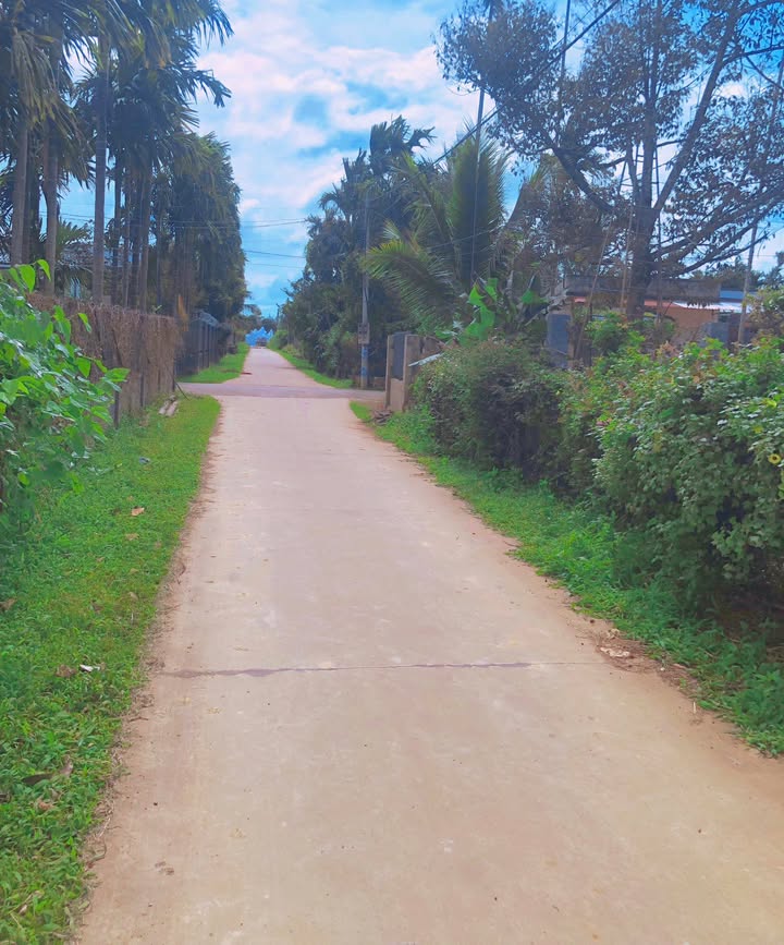 Đất nền Ea Ktur, Cư Kuin 500m² giá chỉ 190 triệu - Đường bê tông thông tứ hướng!