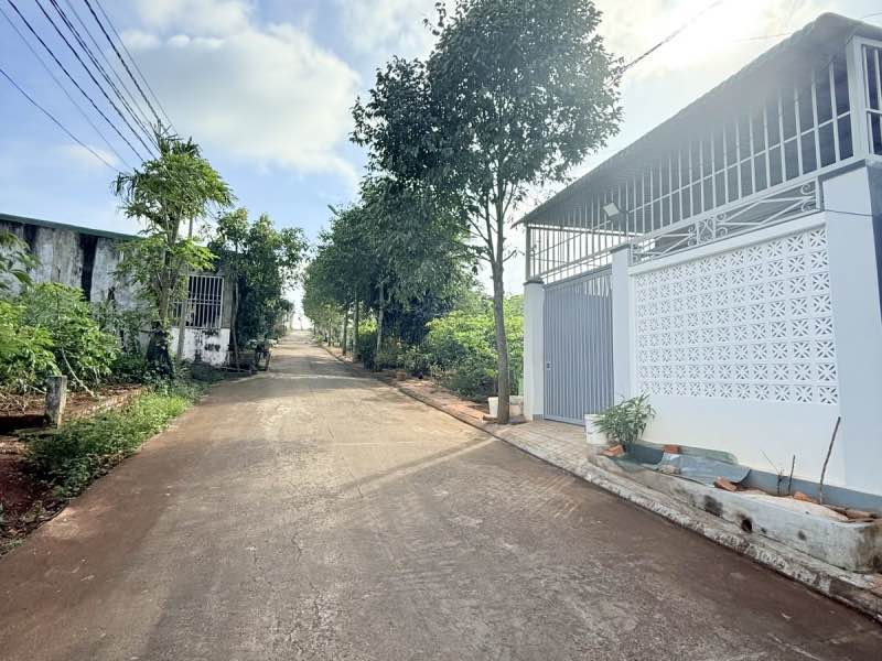 Đất nền Ea Tam 81m² giá 1.45 tỷ - Đầu tư sinh lời ngay!