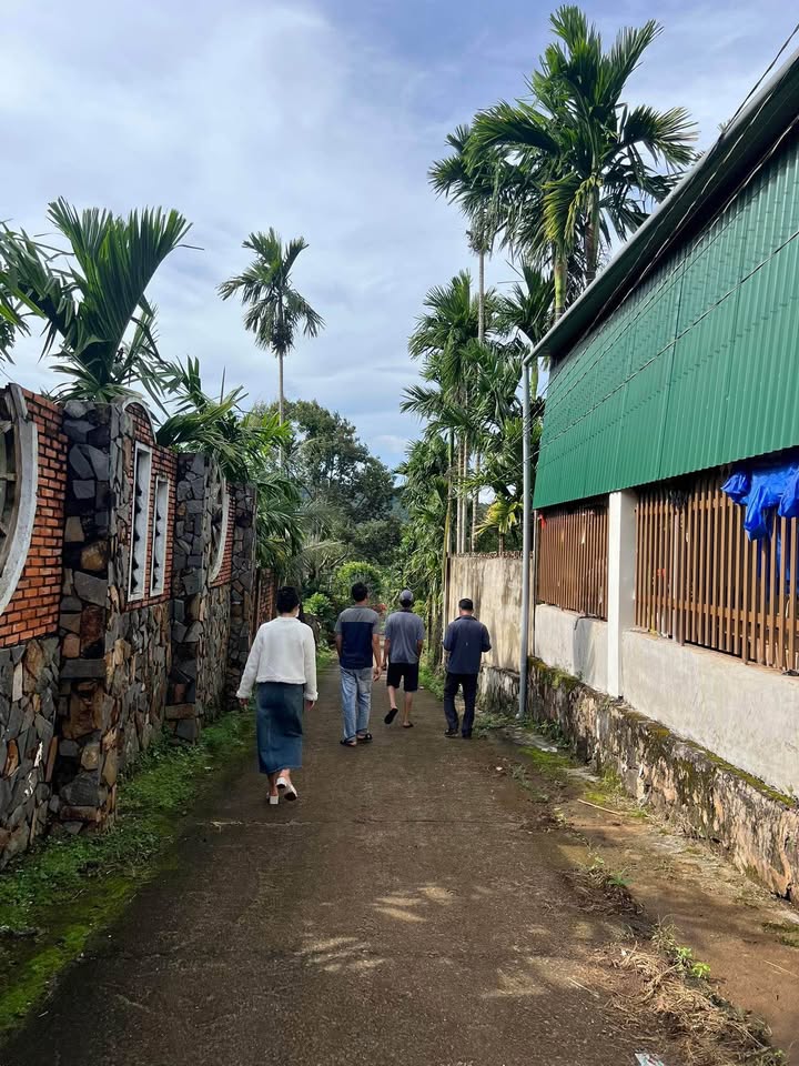 Đất liền kề cầu Eatieu, Hòa Thắng, 122.5m² giá 700 triệu - Cơ hội đầu tư hấp dẫn!