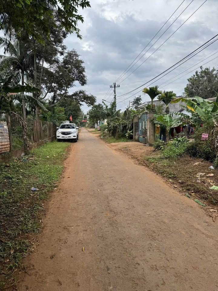 Đất nền khu dân cư Tân An, Buôn Ma Thuột - 175m² giá 1.85 tỷ - Đầu tư sinh lời cao!