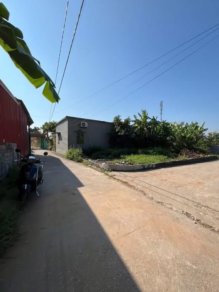 Đất lô góc Trần Lãm, Thái Bình 59m² giá 1 tỷ - Cơ hội đầu tư hấp dẫn!