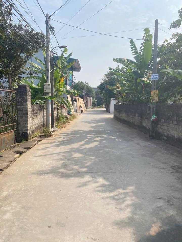 Nhà phố Chu Văn An, Chí Linh, Hải Dương 60m² giá 1 tỷ - An ninh tốt, gần trung tâm!